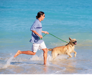 Dog Exercising While Camping