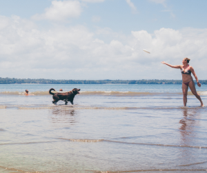 Dog playing in water