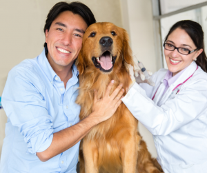 Preparing your dog for RVing